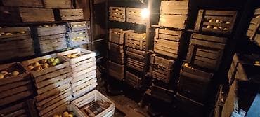 книжные полки бишкек: Яблоки Оптом — 3