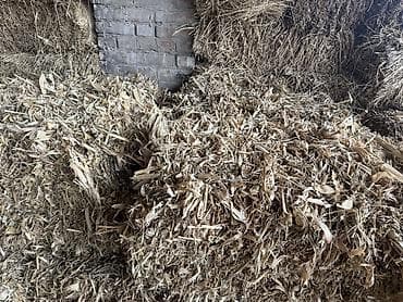 Животные: Есть 30 шт Измельченные стебли кукурузы, представляющие собой сухую — 2