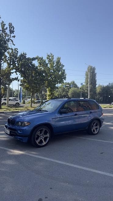 BMW X5: 2003 г., 4.4 л, Автомат, Бензин, Внедорожник — 3