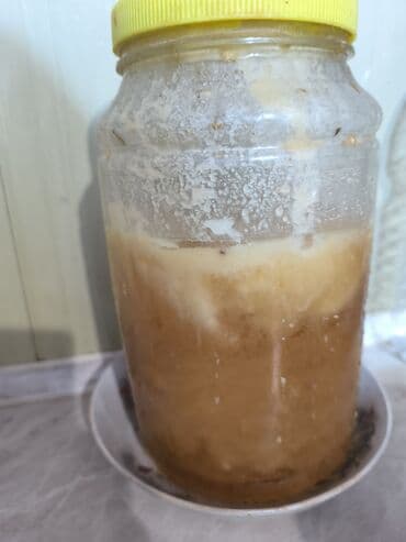 домашняя еда на заказ бишкек: Остаток меда в банке 2840кг, цена за все 1000сом - Подходит для чая — 1