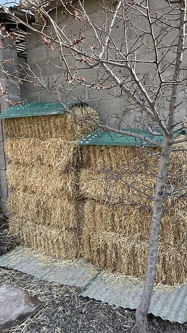 Кошки: Соломенные тюки (прямоугольные) - Плотно спрессованные тюки соломы — 1