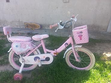Балдар үчүн велосипеддер: Балдар үчүн велосипед, 2 дөңгөлөктүү, 4 - 6 жаш, Кыз үчүн, Колдонулган — 4