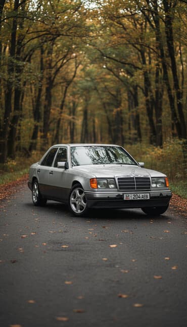 аренда скутера с выкупом: Mercedes-Benz W124: 1992 г., 2.3 л, Механика, Бензиновая, Седан — 2