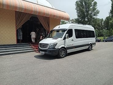 полка металическая: Sprinter VIP - Комфортабельный салон бизнес‑класса: индивидуальные — 4