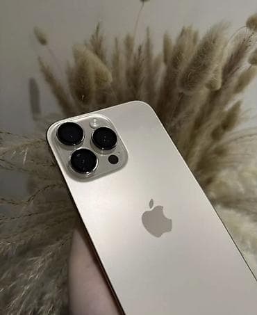 Уюлдук телефондор: IPhone 16 Pro Max, Колдонулган, 256 ГБ, Алтын, Заряддоочу түзүлүш, Коргоочу айнек, Каптама, 88 % — 2