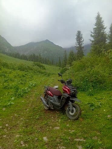 мопеды танк: Скутер түрү Tank, 150 куб. см, Бензин — 3