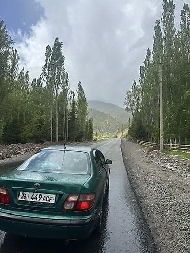 180000: Nissan Almera: 2001 г., 1.5 л, Механика, Бензин, Седан — 5
