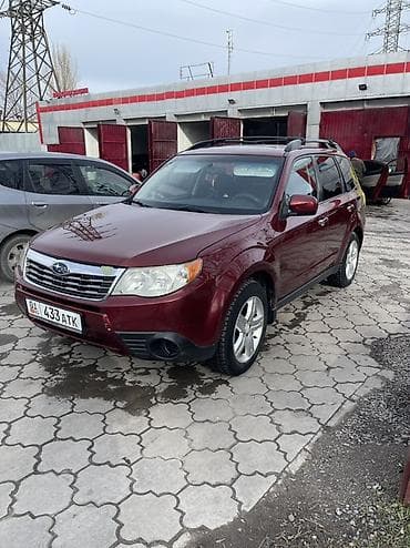 колор: Subaru Forester: 2009 г., 2.5 л, Автомат, Бензин, Внедорожник — 1