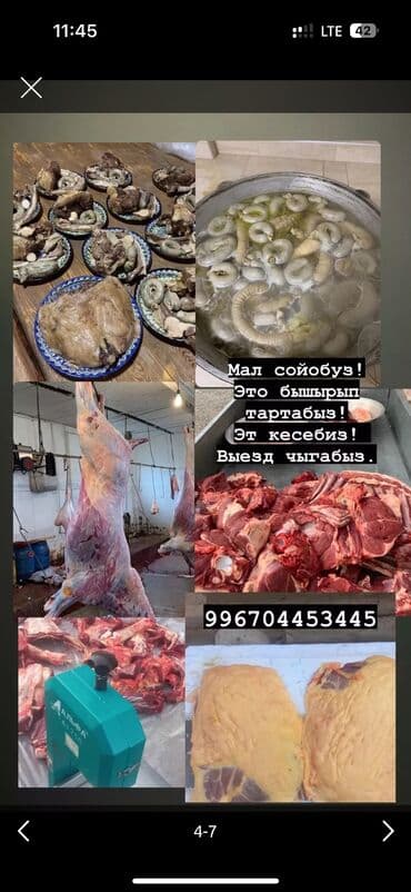 Выездные банкеты | Касапчы, Эт башчы