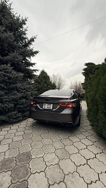 решетка на камри: Toyota Camry: 2022 г., Автомат, Бензин, Седан — 8