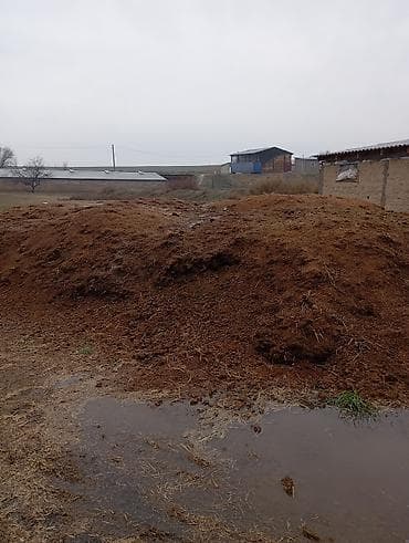 Үй жана бакча үчүн баардык: Кап менен, Портер — 1