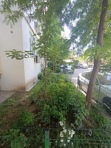 2 комнаты, 52 м², 106 серия, 9 этаж, Косметический ремонт — 3