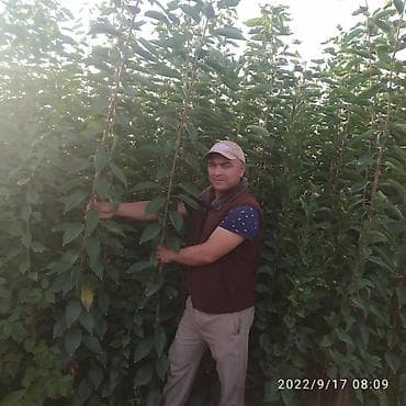 Канцтовары: Другие товары для дома — 1