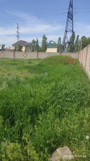 сасновка участок: 80 соток, Для строительства — 3