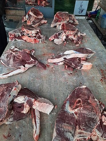 Чай, кофе, напитки: Бесплатная доставка, Платная доставка — 2