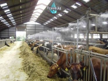 (Туманообразование на фермах) – Компания №1 в Кыргызстане