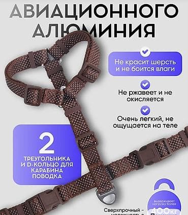 cane corso: Шлейка для собак с фурнитурой из авиационного алюминия(покупали для — 1