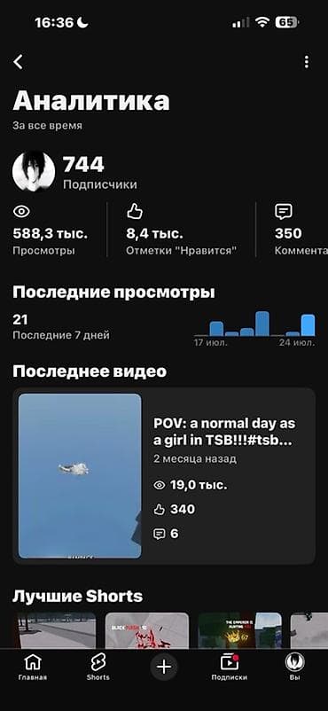 Даяр бизнес: YouTube‑канал (панель “Аналитика”) - 744 подписчика - 588,3 тыс — 1