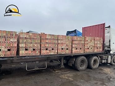 Строительный кирпич: Пустотелый, дырчатый, Жженый кирпич, Полублок, 250×120×90 — 6