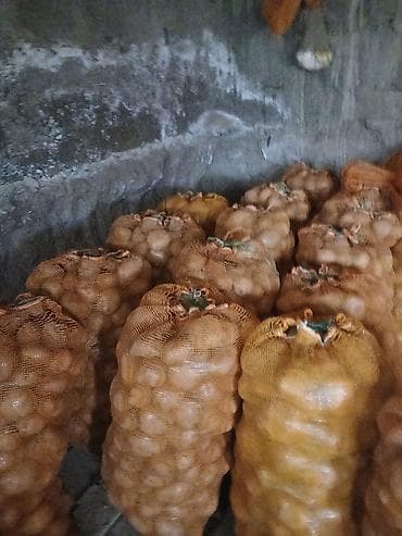 Картошка Пикассо