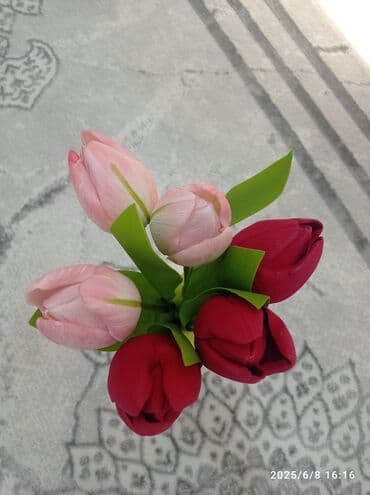 токарь токмок: Репетитор английского языка — 1