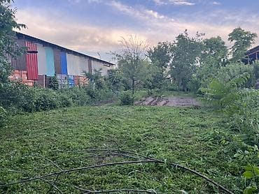 кок талаа: 10 соток, Айыл чарба үчүн — 1