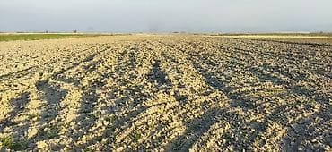 псо дом: 1000 соток Для сельского хозяйства — 4