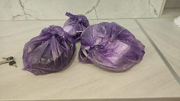 стом лампа: Стоматологическая установка с креслом и осветителем баасы 60000 сом — 4