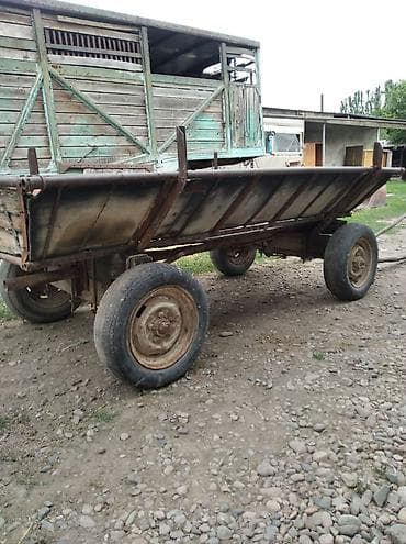 Үй жаныбарлары: Сатам | Байтал — 6
