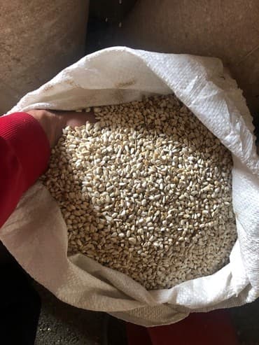 домик для кроликов: Продам сафлор оптом от 25 тонн и выше 
+ — 3