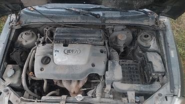 мотор кия рио: Kia Rio: 2003 г., Механика, Бензин, Седан — 1