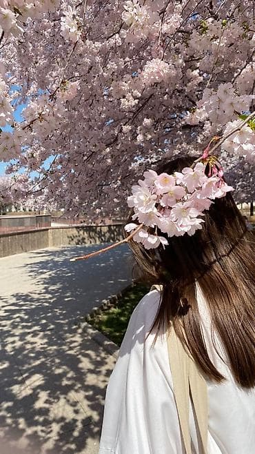 предложение руки: Фотосъёмка | С выездом | Фотосессия — 4