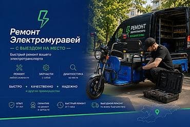 Ремонт электромуравей с выездом на место Профессиональный выездной at lalafo.kg Ремонт электромуравей с выездом на место Профессиональный выездной