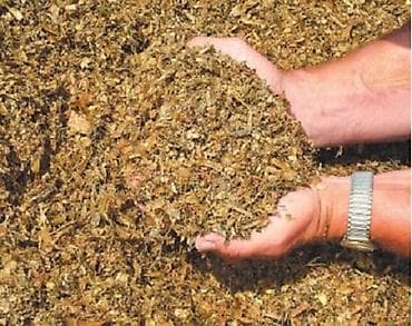 Кукурузный силос/сенаж (измельчённая масса) - Однородная фракция