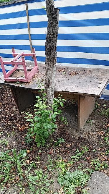 заберите: Отдаю даром, только все сразу заберите, не по частям — 5