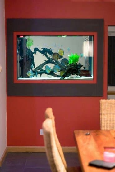 зоомагазин бишкек рядом: Террариумы для экзотических питомцев — 8