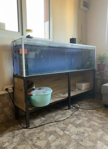 Аквариум 240 литров длинный и пропорциональный, в комплекте подставка
