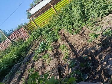 продаю дачу в арашан: ПродаётсяДача дом с красными книги участок/домовладение с огороженной — 4
