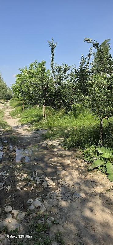 продажа гаражей: Питомник растений, 22 соток, Действующий, Без оборудования, Электричество — 4