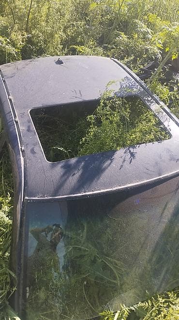 Крыша Mercedes-Benz 2001 г., Б/у