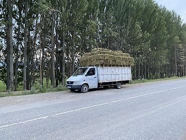 авто домик: Mercedes-Benz Спринтер: 1999 г., 2.9 л, Механика, Дизель, Фургон — 5