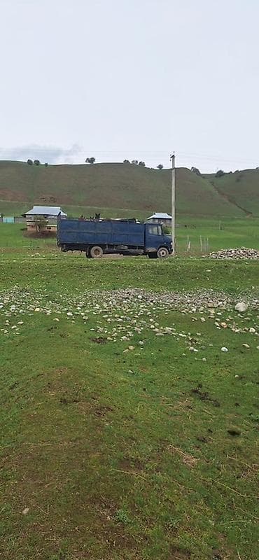 даф турбина: Грузовик, Mercedes-Benz, Стандарт — 3