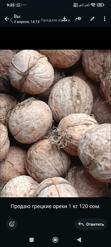 май семичка: Грецкие орехи в скорлупе. - Крупные ядра, натуральный вкус и аромат — 1