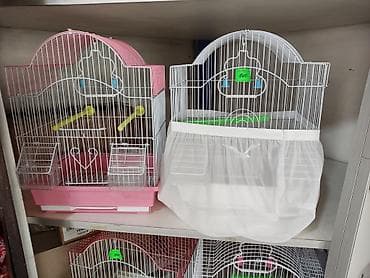 Үй жаныбарлары: Клетки для птиц и грызунов! — 6