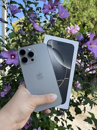 IPhone 16 Pro Max, 256 ГБ, цвет Natural Titanium. На iOS 16.5 (из