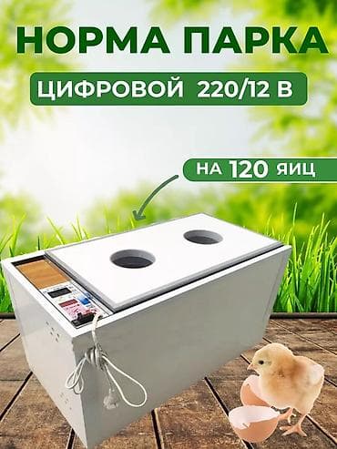 заводской инкубатор: Инкубатор Норма Парк Вместимость — 120 куриных яиц, или 40 гусиных — 4