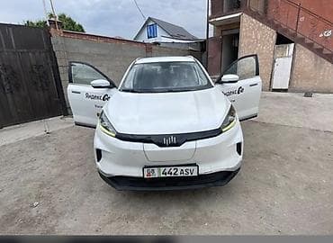 erec m8: Weltmeister EX5, 2020 г. — 1