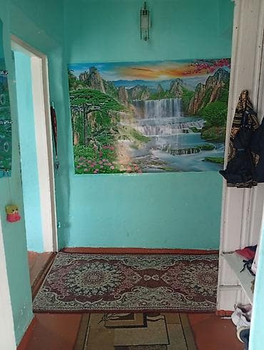 надувной бассеин: ПРОДАЮ ДОМ! В городе Кара-Балта. Не большой но уютный дом. В доме — 3