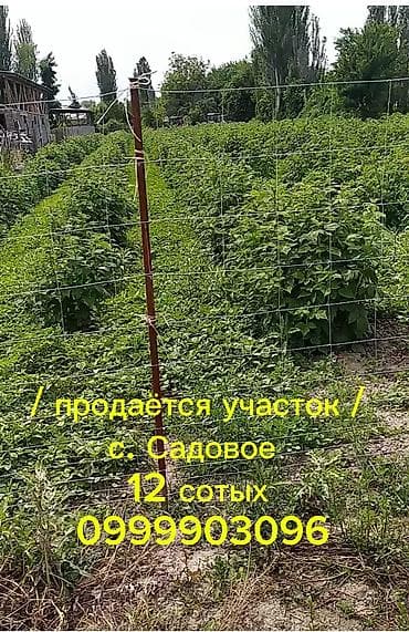яблоневый сад: 12 соток, Для строительства, Красная книга — 1