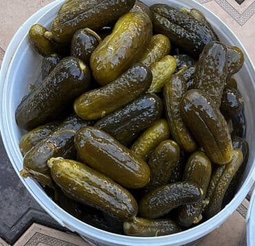 чесно: Домашние соленья: огурцы
Бочковые огурцы — 1